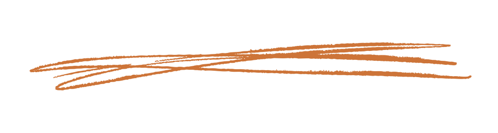 מלווה אותך בדרך העסקית שלך