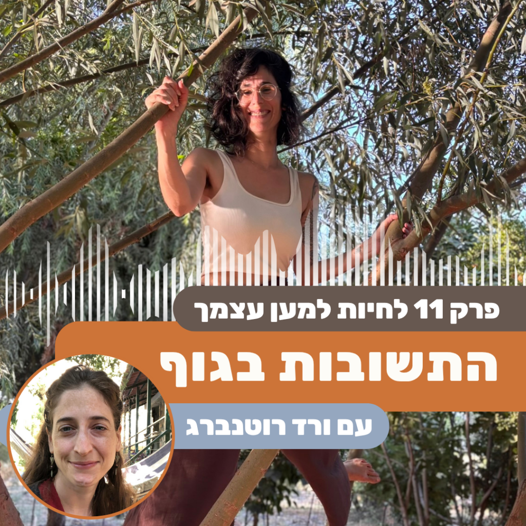 לקבל החלטות דרך הגוף